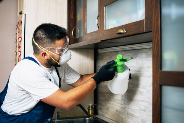 Wildlife Control Services in San Benito, TX