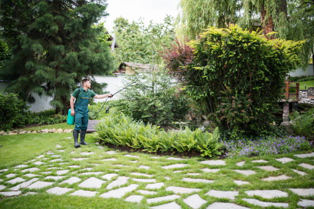 Best Best Pest Control Companies  in San Benito, TX