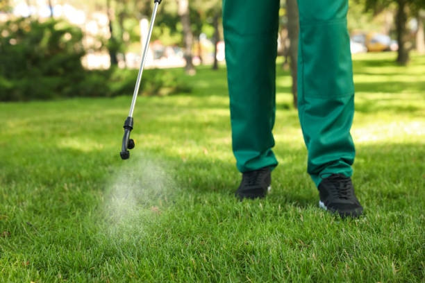 Best Mosquito Control Services  in San Benito, TX