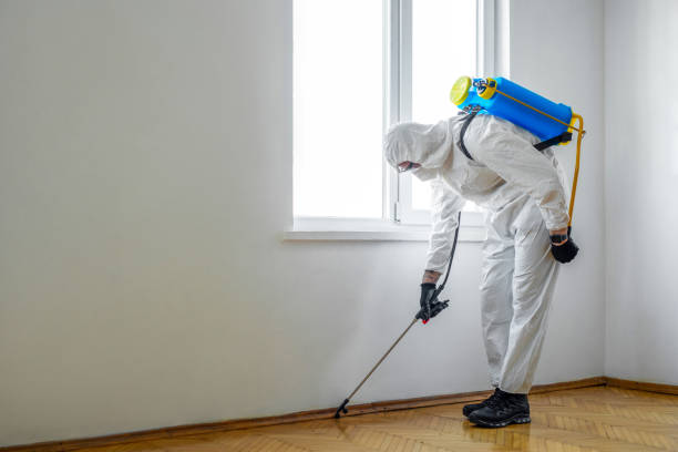 Best Bed Bug Extermination  in San Benito, TX