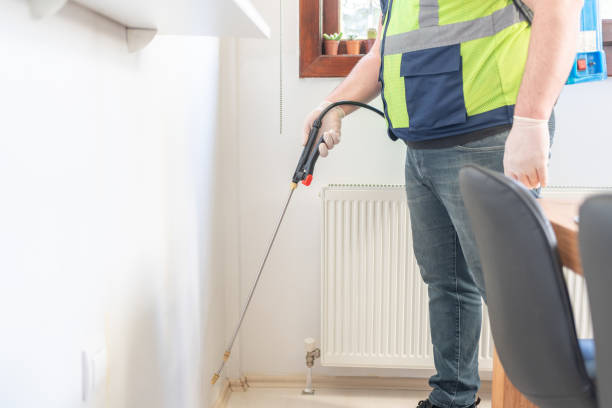 Best Wasp Removal Services  in San Benito, TX