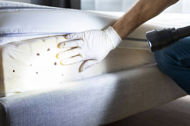 Best Wildlife Control Services  in San Benito, TX
