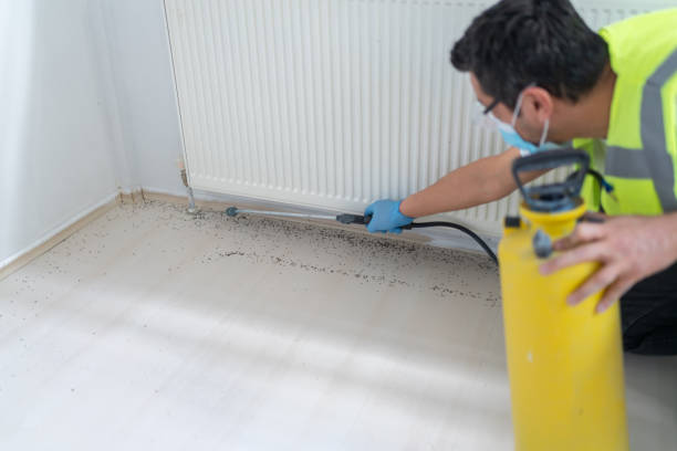 Pest Prevention Services in San Benito, TX